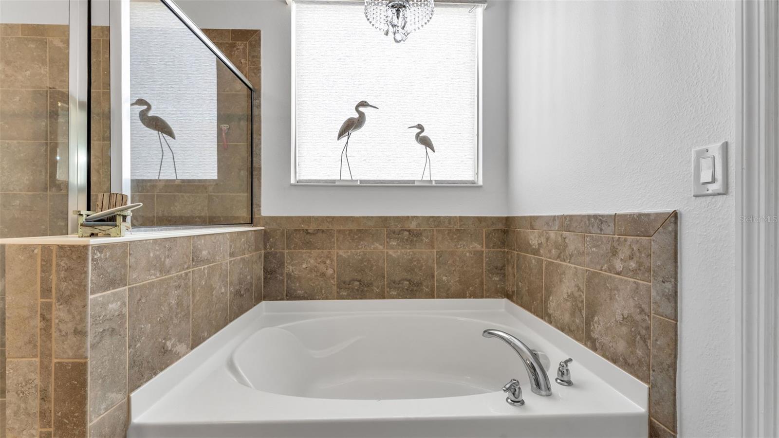 TERRALARGO PH 02 - Residential