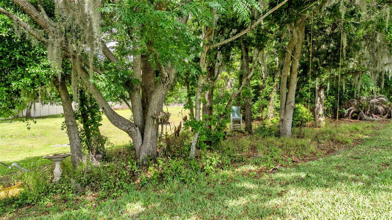 TERRALARGO PH 02 - Residential