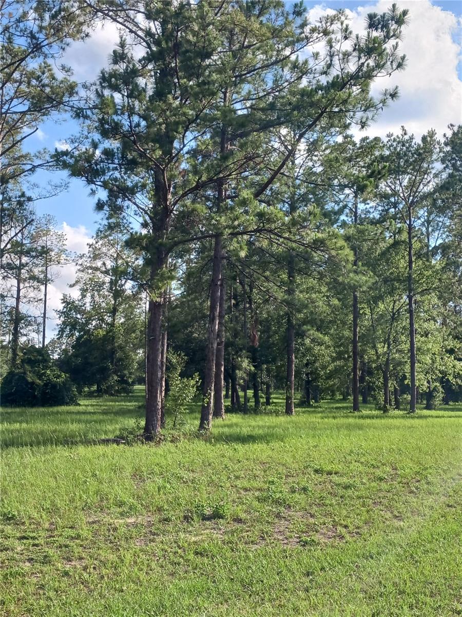 35135 PINEGATE TRAIL