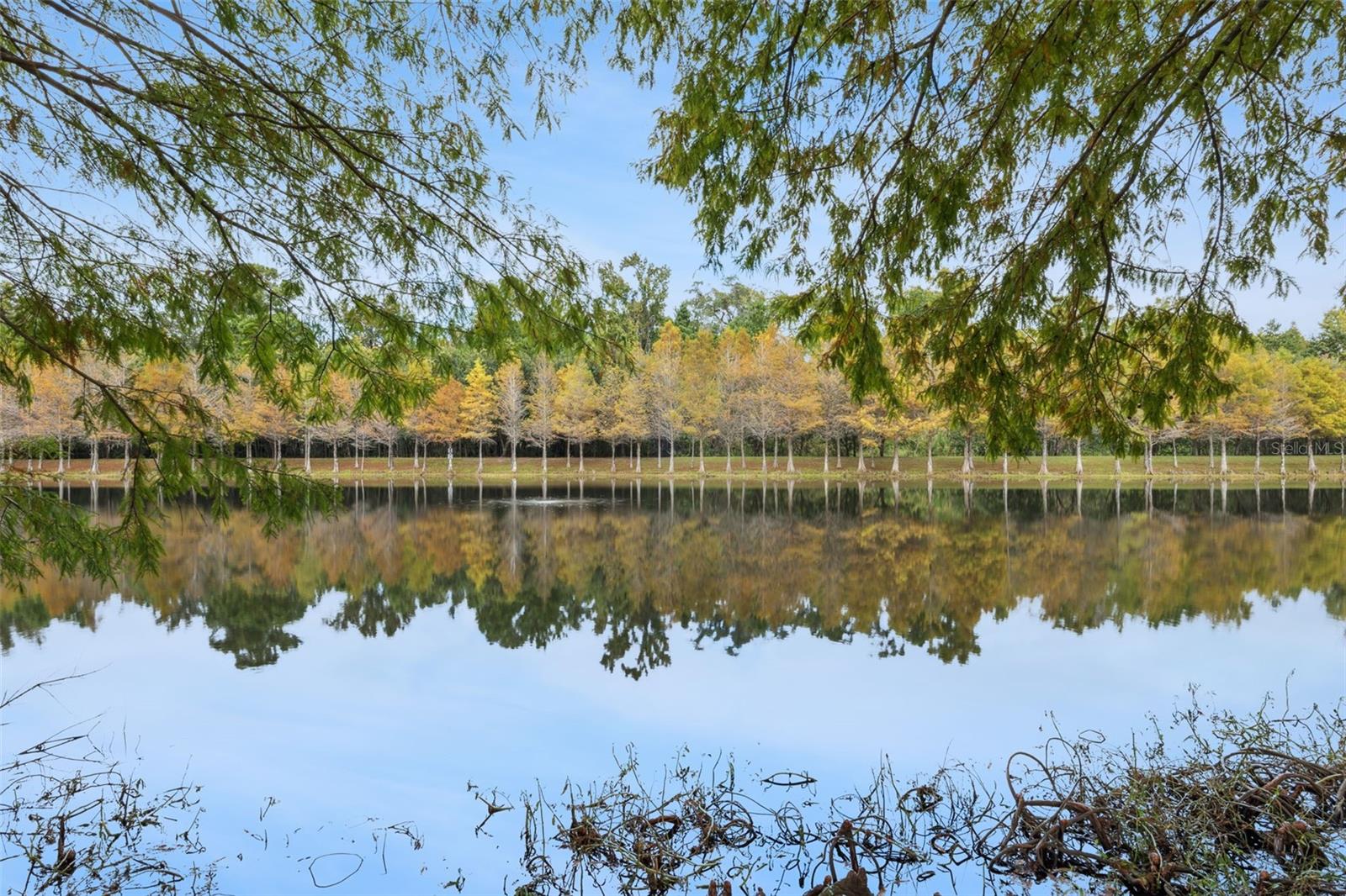 TERRACINA AT LAKE FOREST FOURTH AMD - Residential