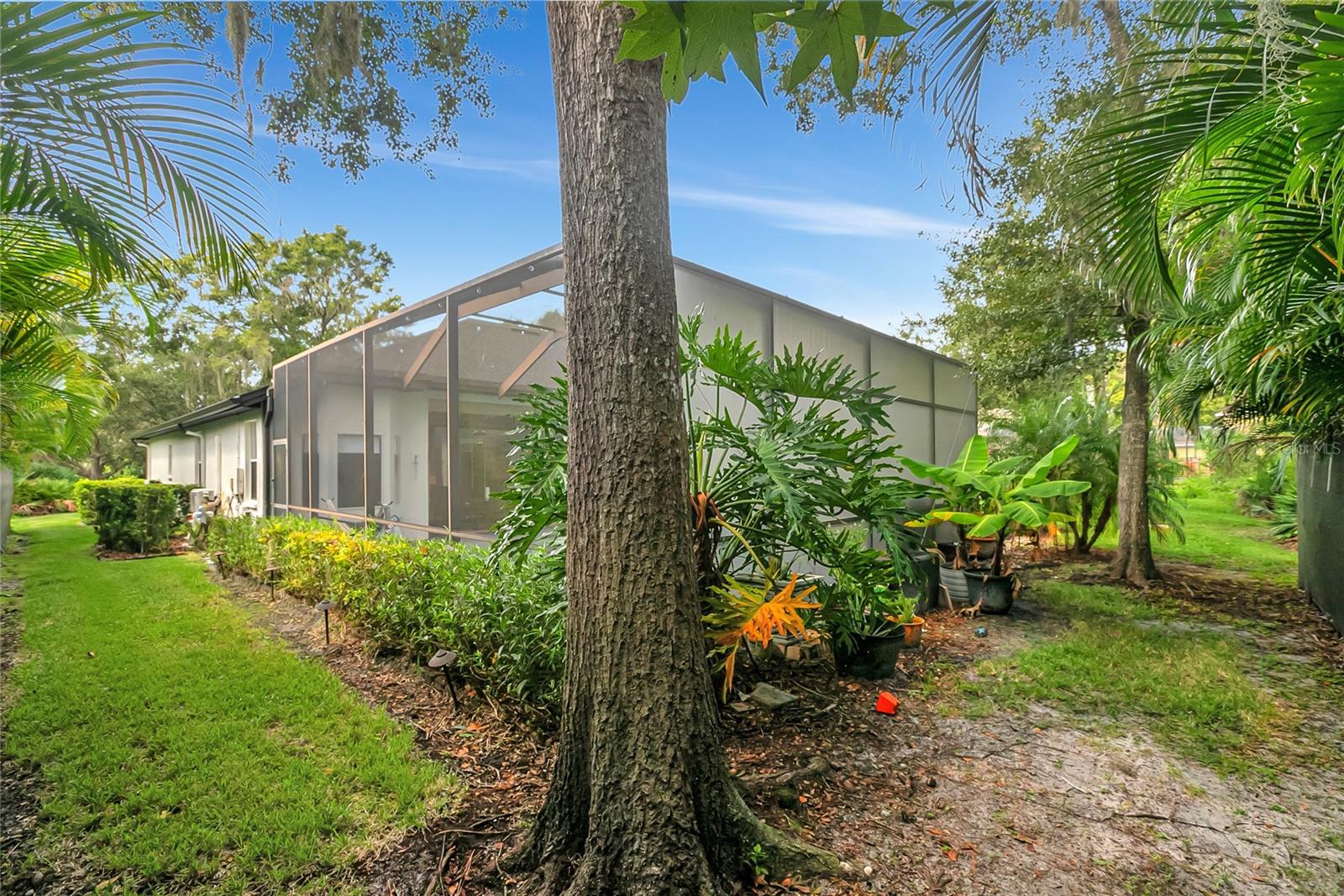 RIVERWOODS HAMMOCK - Residential