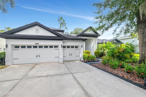 808 RIVER HAMMOCK BOULEVARD BRANDON FL 33511