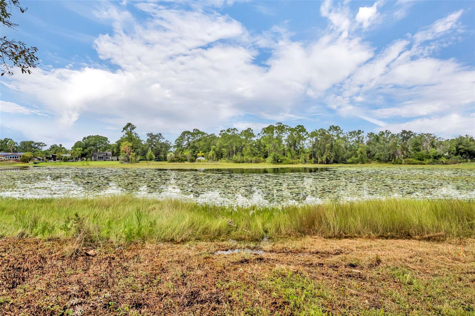 LITTLE LAKE GEORGIA TERRACE - Residential