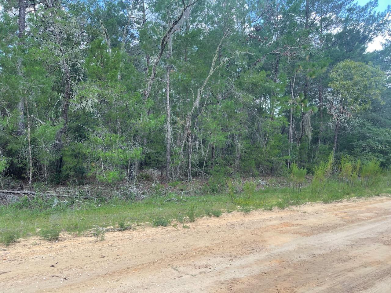 Interlachen Lakes Estates - Land