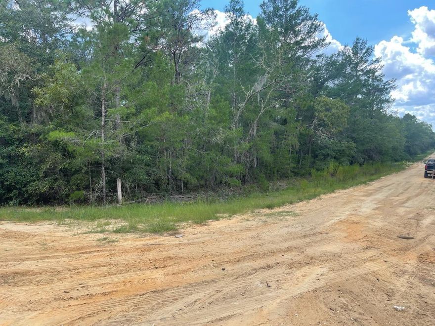 Great opportunity to own 6 build-able lots in Putnam County. Less than 30 minutes to Palatka and Gainesville, short drive to local stores, CVS, fast food restaurants, Family Dollar. Buy now while prices are still affordable !; Cleared: No