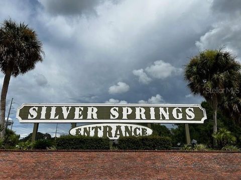 A home in SILVER SPRINGS