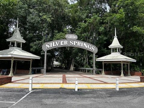 A home in SILVER SPRINGS