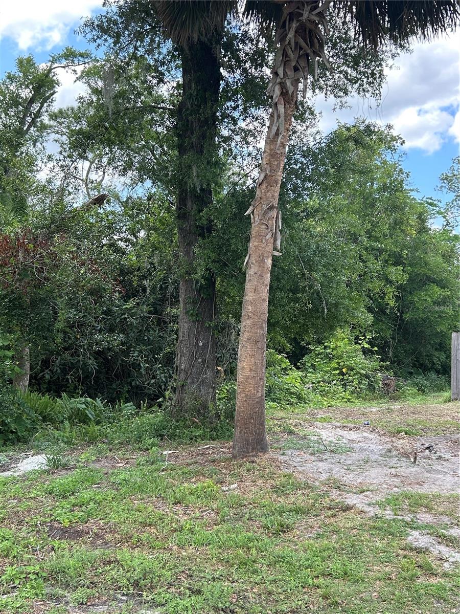 370 FATIO ROAD