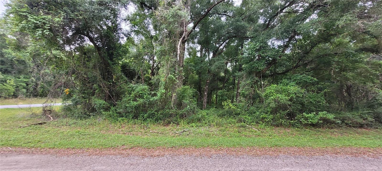 This .33 acre of land is in a tranquil community blended with residential and undeveloped land. You get a peaceful friendly vibe. You're minutes away from Rainbow Springs where you can take a dip in the water, walk, canoe, picnic with family and friends or go hike in the Withlacochee River State Trail. It's popular for fishing too! The shopping centers, hospital, and schools are nearby. Look no further, come build your dream home here!