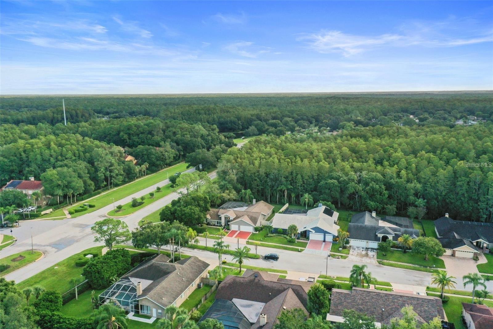 FOXBERRY RUN - Residential