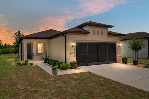Photo of 9663 SW 76th Lane Road, Ocala, FL 34481 (MLS # O6409512)