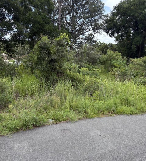 Photo of Oak Pass Run #Lot 10, Ocala, FL 34477 (MLS # O6428787)