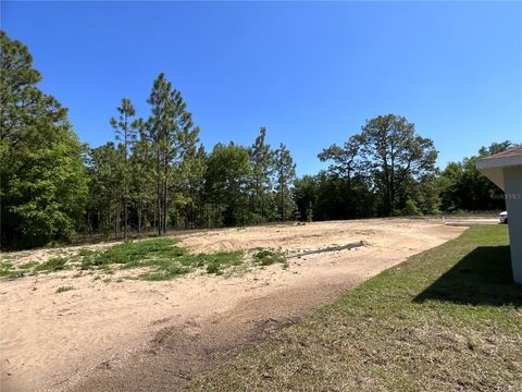 TBD SW 151ST AVENUE OCALA FL 34481