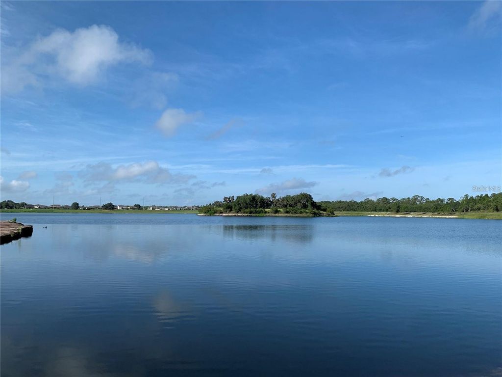 Photo of 3092 Ella Way, Saint Cloud, FL 34771 (MLS # O6370855)