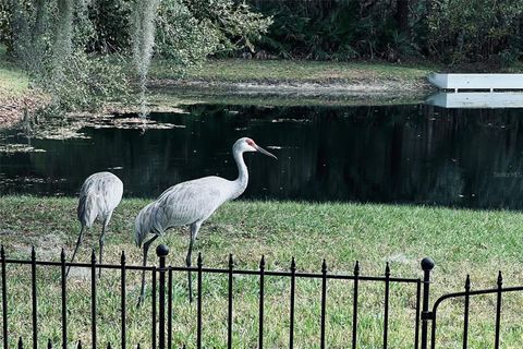 A home in NEW PORT RICHEY