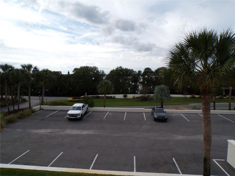 A home in MOUNT DORA