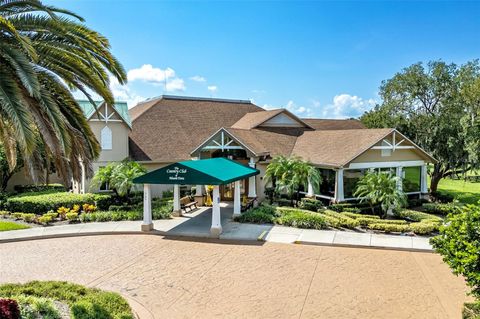 A home in MOUNT DORA