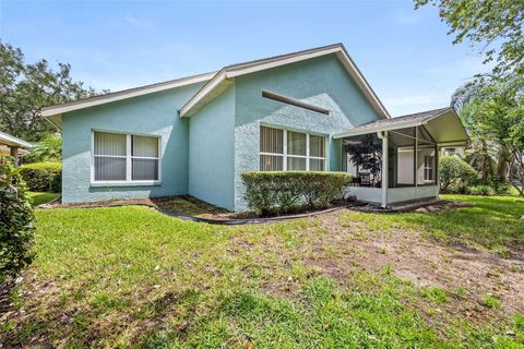 A home in MOUNT DORA