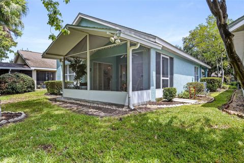 A home in MOUNT DORA