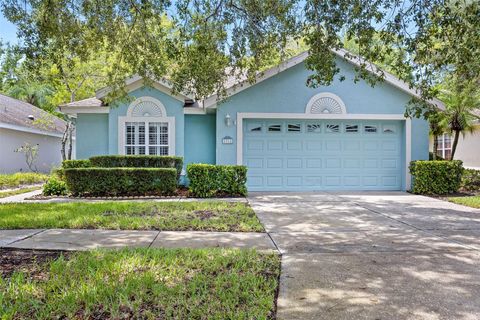 A home in MOUNT DORA