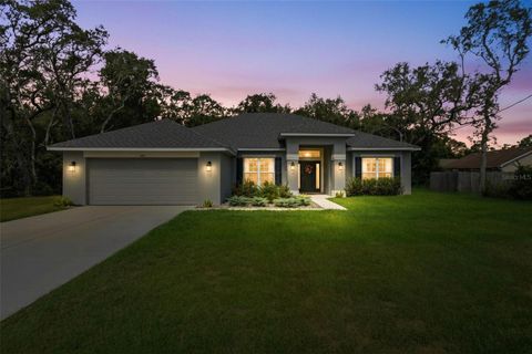 Photo of 463 Trafalgar Lane, Spring Hill, FL 34606 (MLS # W7879377)