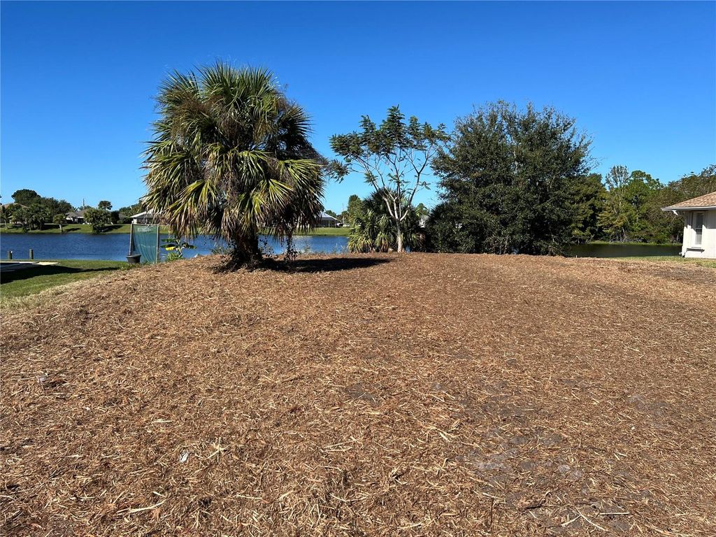 Photo of 145 Robina Street, Port Charlotte, FL 33954 (MLS # C7516401)
