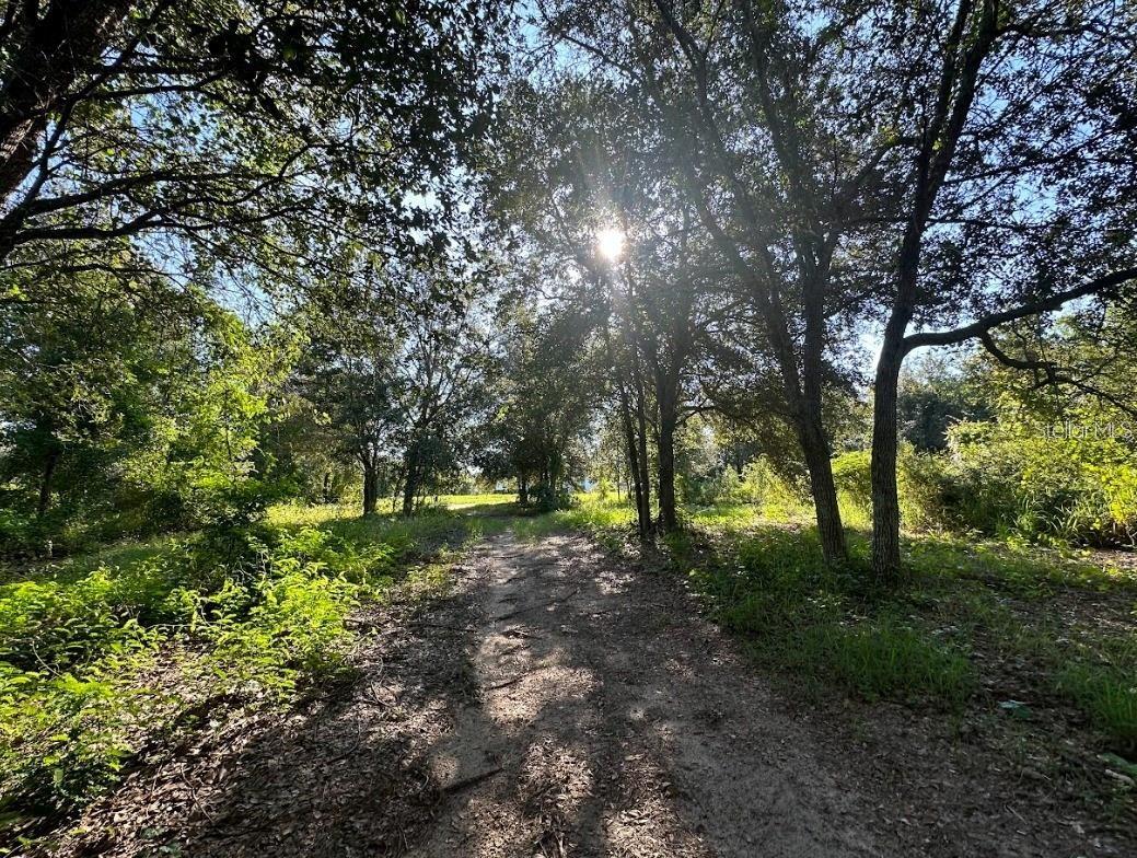 GREAT BLUE HERON ESTATES - Land