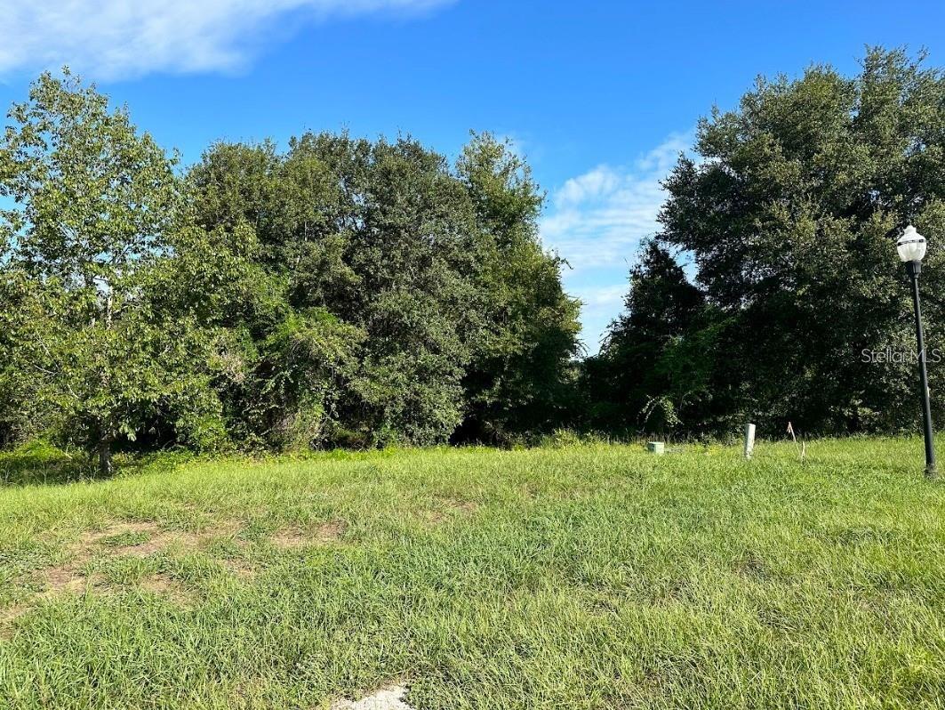 GREAT BLUE HERON ESTATES - Land