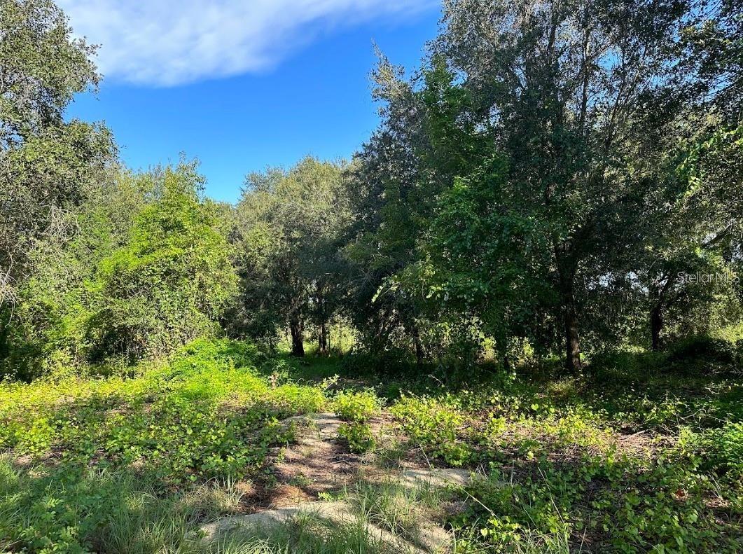 GREAT BLUE HERON ESTATES - Land