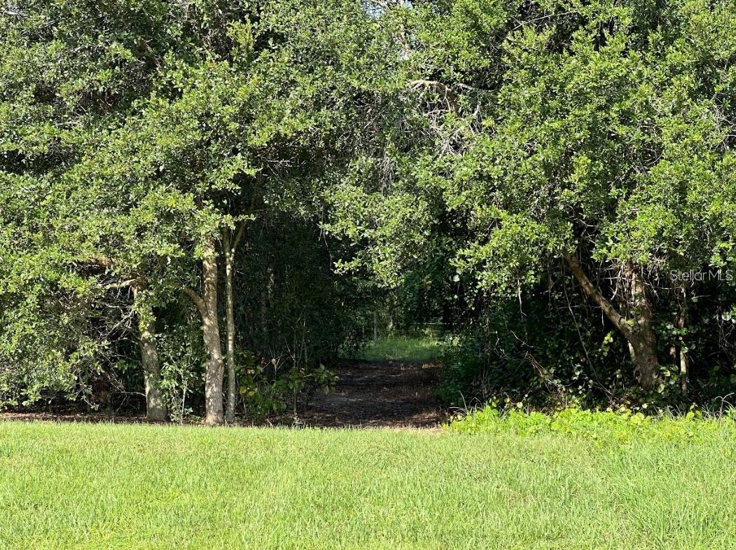 GREAT BLUE HERON ESTATES - Land