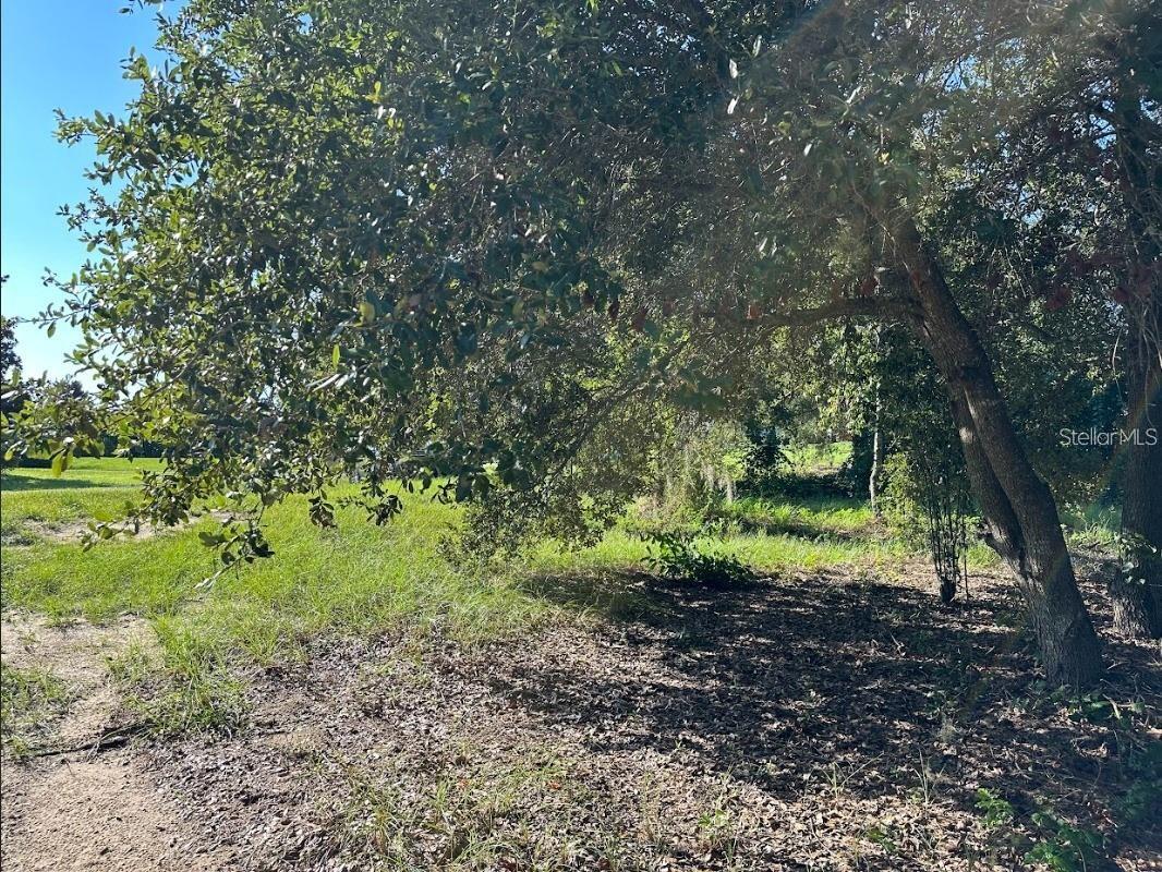 GREAT BLUE HERON ESTATES - Land