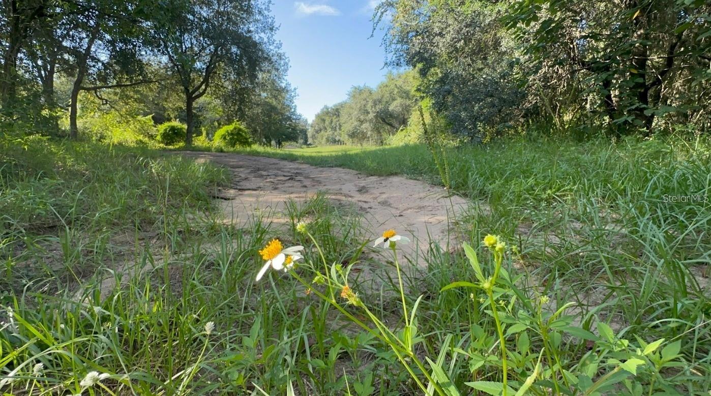 GREAT BLUE HERON ESTATES - Land