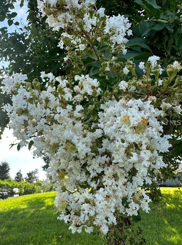 GREAT BLUE HERON ESTATES - Land