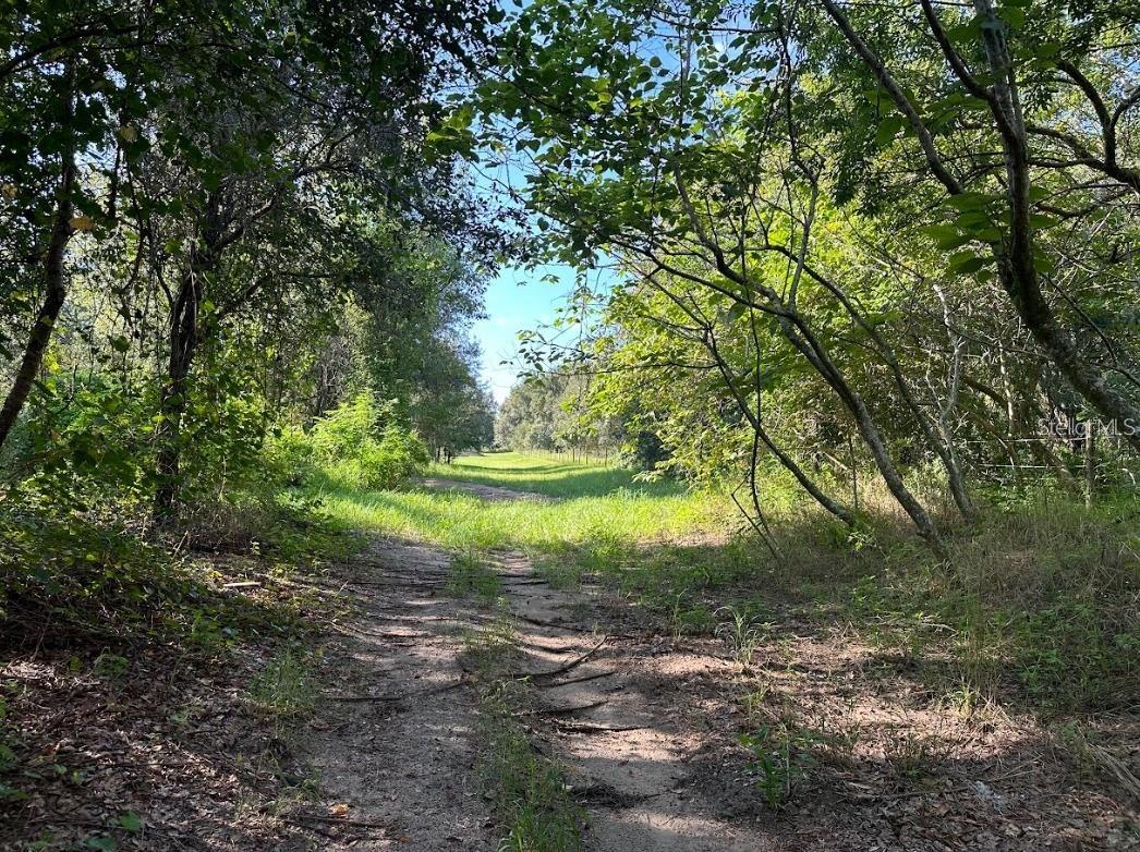 GREAT BLUE HERON ESTATES - Land