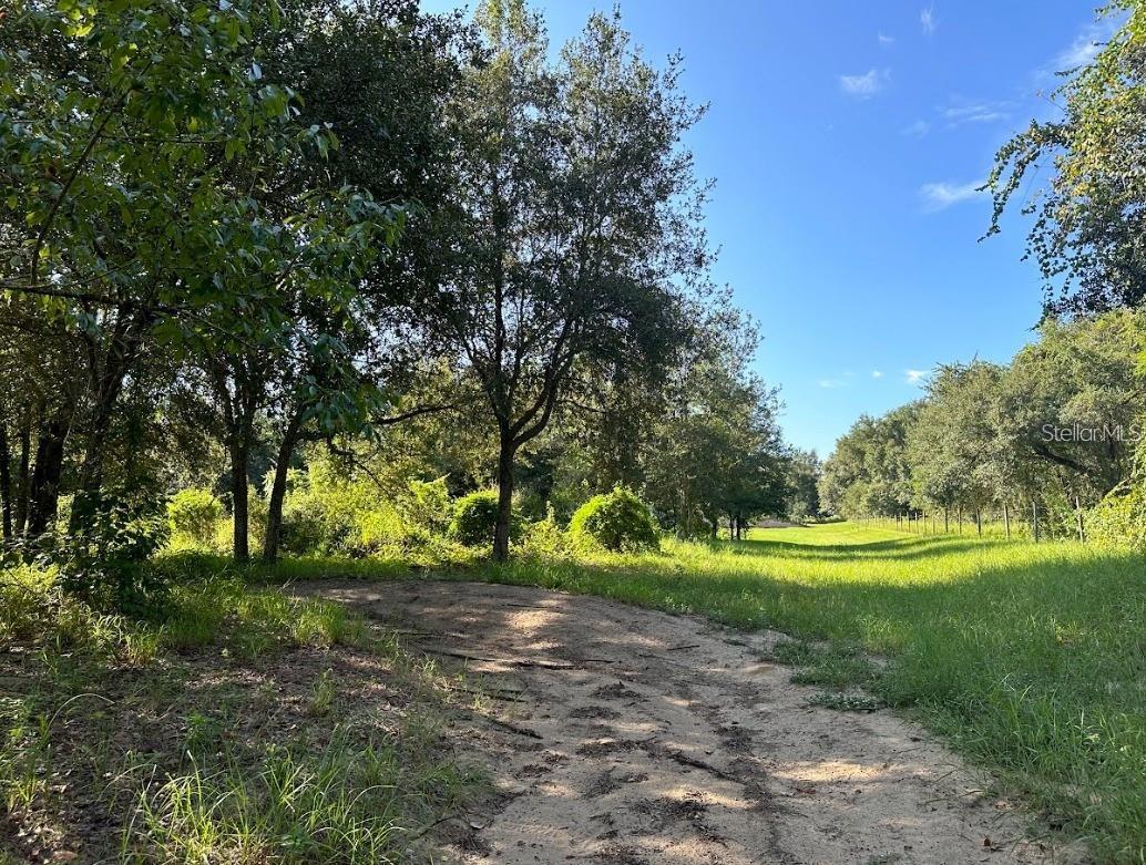 GREAT BLUE HERON ESTATES - Land