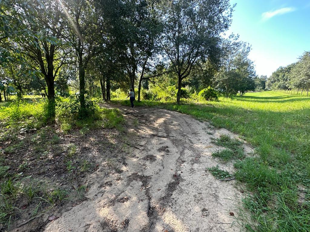 GREAT BLUE HERON ESTATES - Land