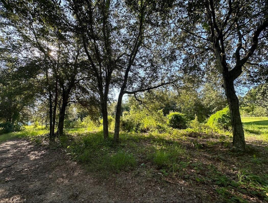 GREAT BLUE HERON ESTATES - Land