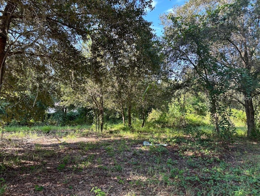 GREAT BLUE HERON ESTATES - Land