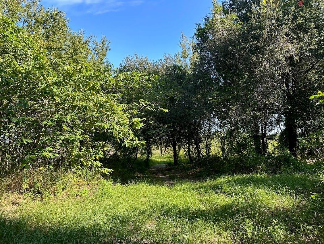 GREAT BLUE HERON ESTATES - Land