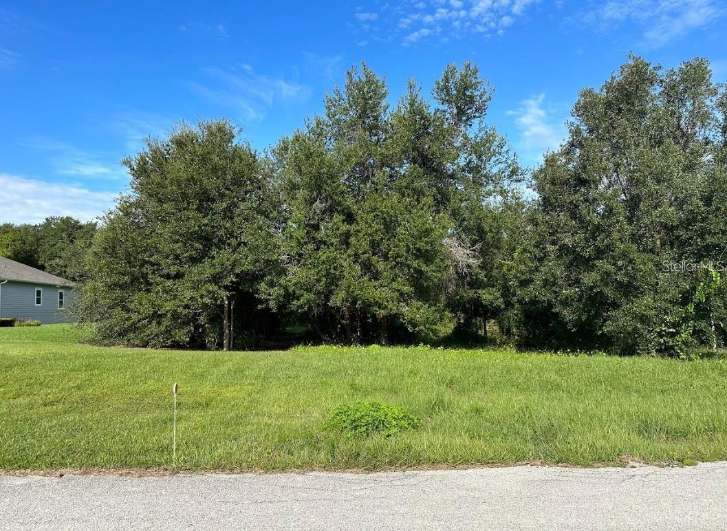 GREAT BLUE HERON ESTATES - Land