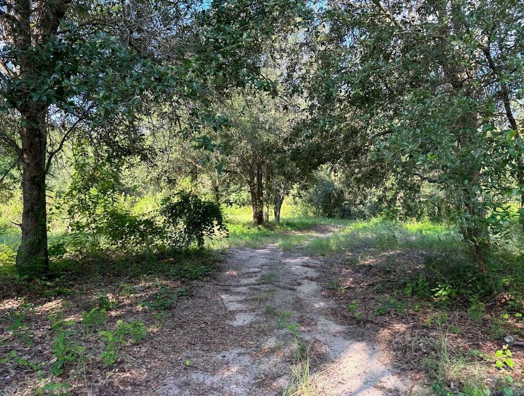 GREAT BLUE HERON ESTATES - Land