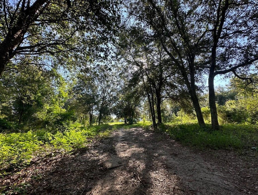 GREAT BLUE HERON ESTATES - Land