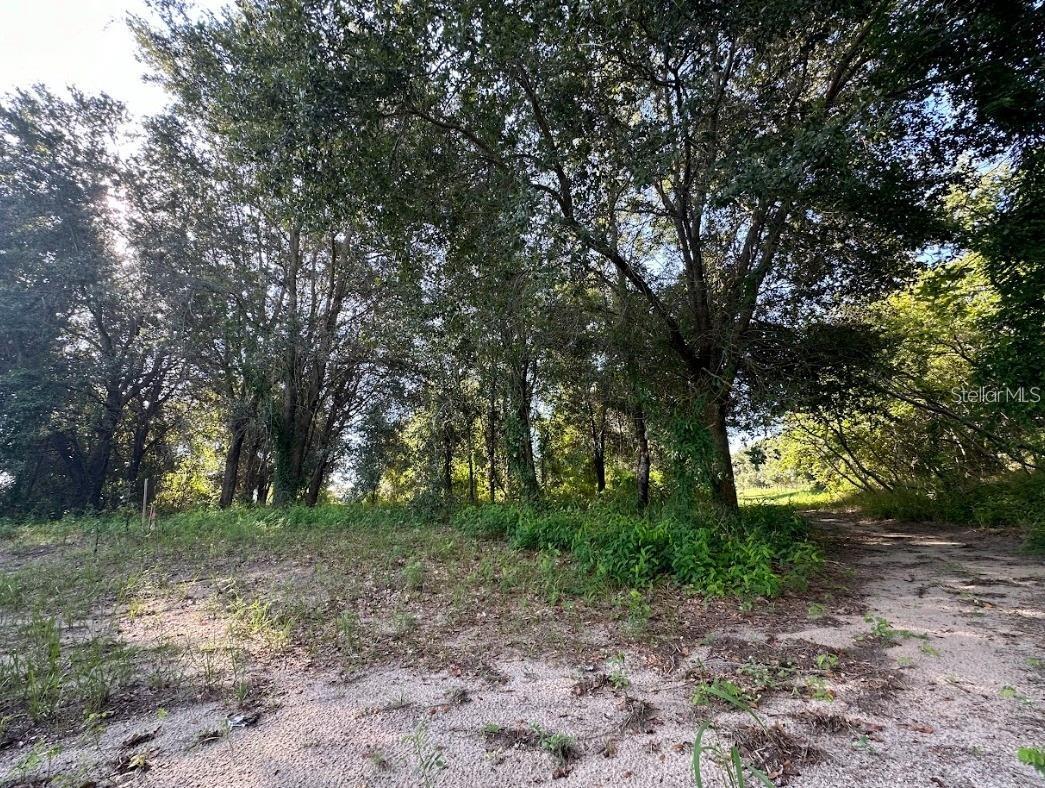 GREAT BLUE HERON ESTATES - Land