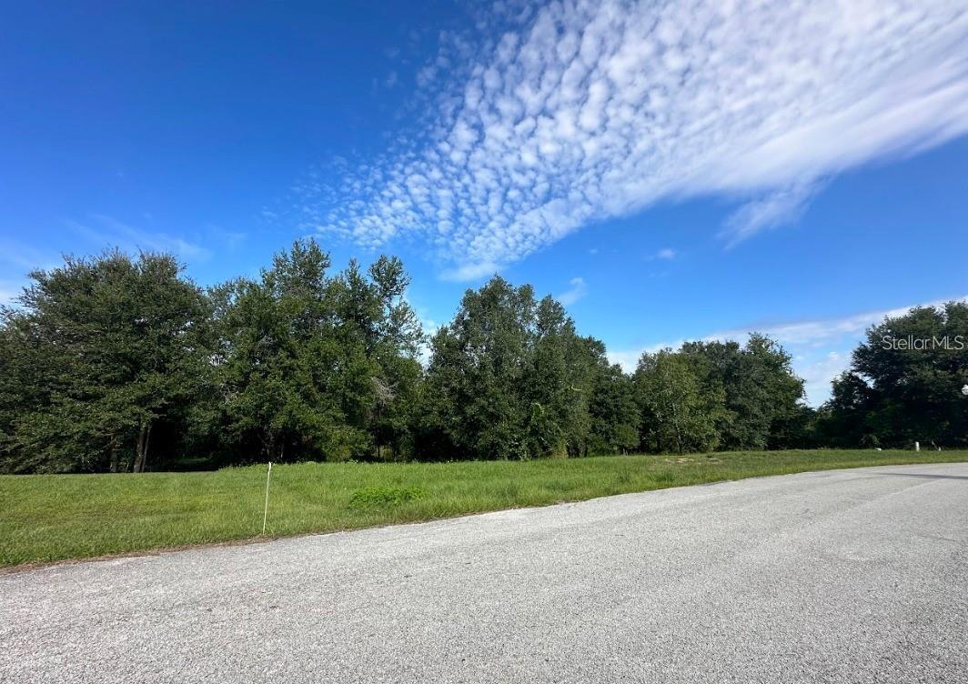 GREAT BLUE HERON ESTATES - Land