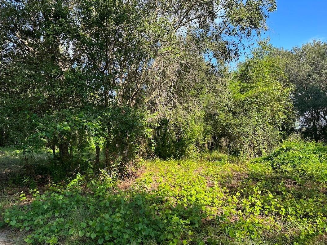 GREAT BLUE HERON ESTATES - Land