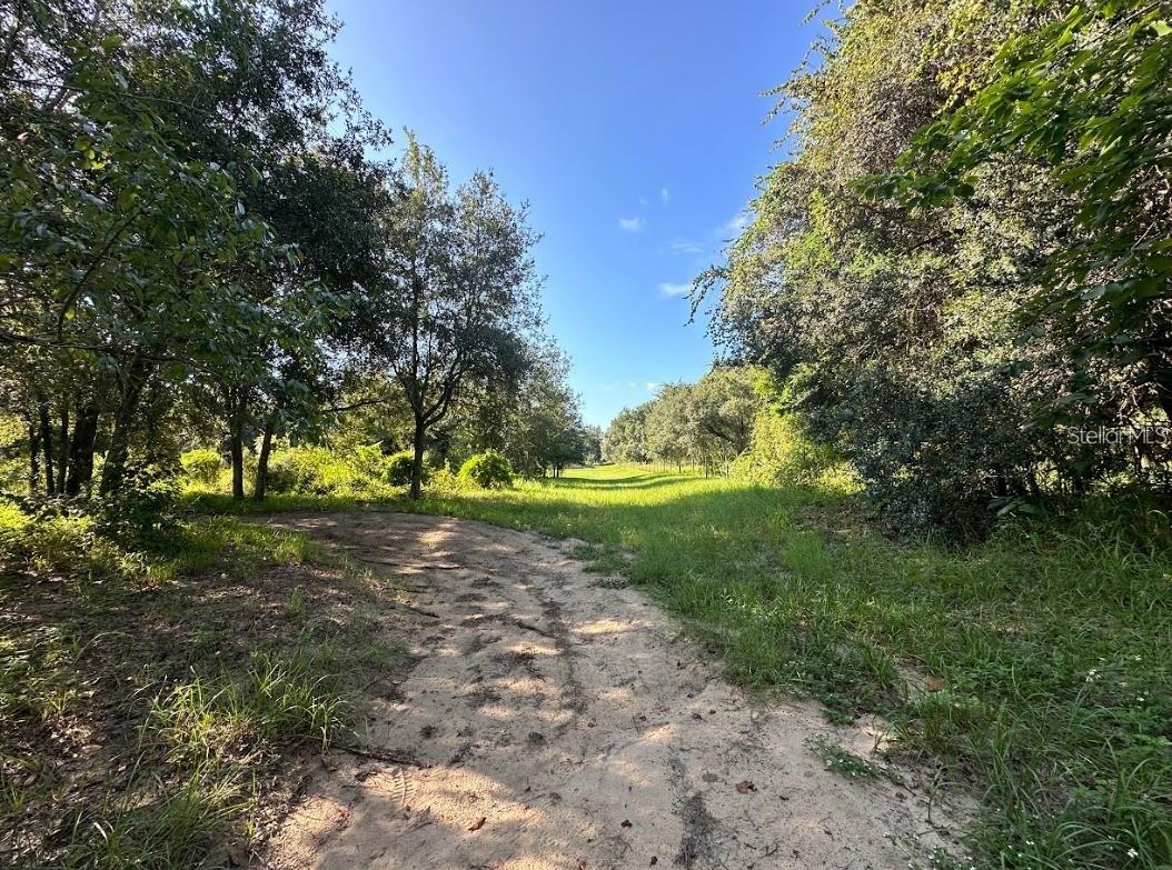 GREAT BLUE HERON ESTATES - Land