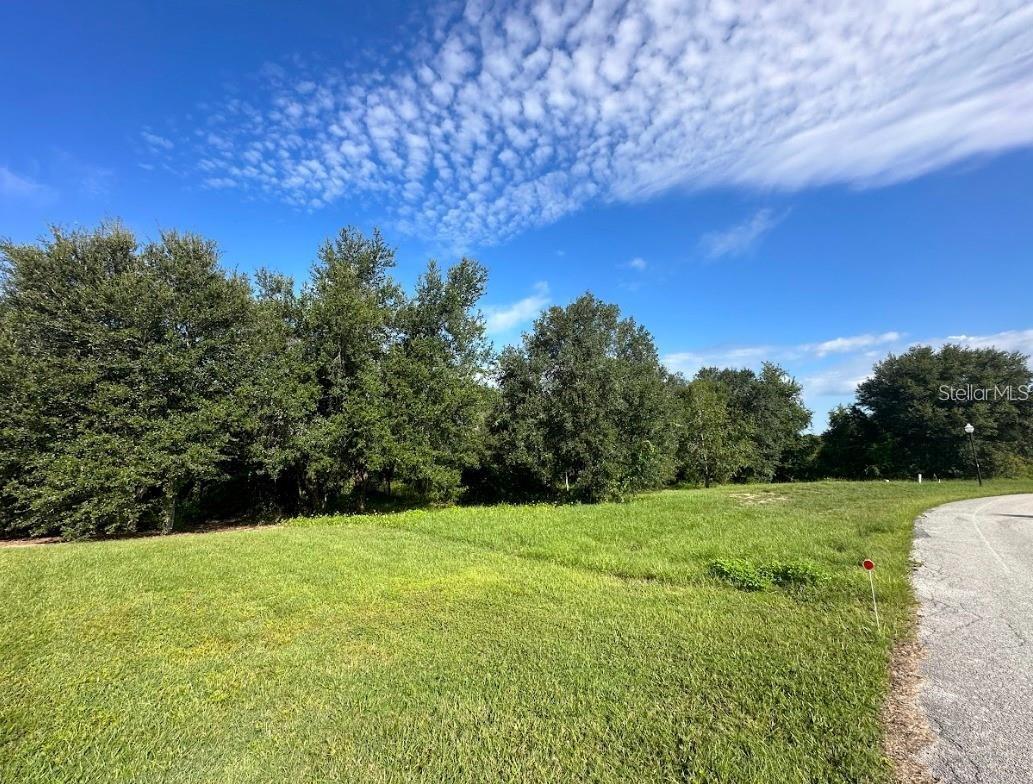 GREAT BLUE HERON ESTATES - Land