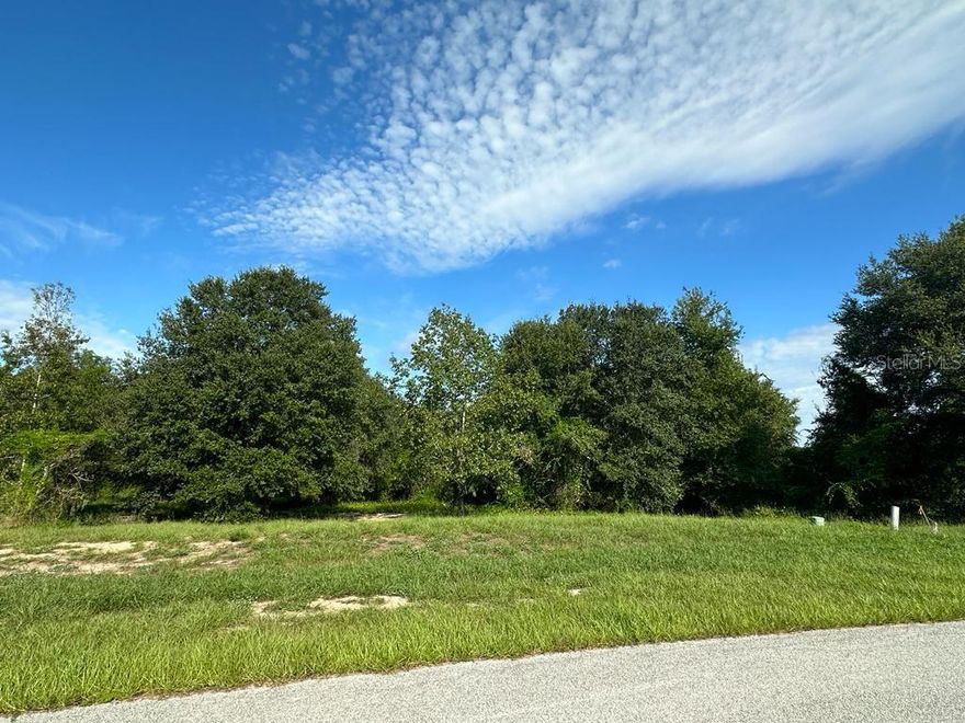 Discover the perfect canvas for your dream home within the Great Blue Heron Estates! This vacant land parcel offers a unique opportunity to build your custom oasis in a secure and upscale neighborhood. This generously sized lot provides ample space for designing the home you've always envisioned, along with beautiful landscaping and outdoor amenities. With a blank slate like this, your imagination is the only limit. Create your ideal residence, whether it's a modern architectural masterpiece or a cozy retreat nestled in nature. Situated in a prime location, you'll have easy access to nearby Turnpike, shopping and restaurants and just a half an hour to downtown Orlando. The property is surrounded by lush greenery and offers a serene escape from the hustle and bustle of city life. Take advantage of this rare opportunity to create your perfect living space in one of the area's most sought-after gated communities. Design and build your forever home, tailored to your unique preferences and lifestyle. Don't miss out on this chance to be part of the Great Blue Heron Estate lifestyle. Contact us today to schedule a viewing and start turning your dreams into reality!