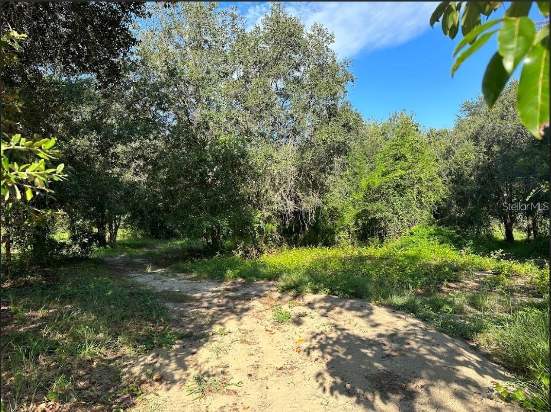 GREAT BLUE HERON ESTATES - Land