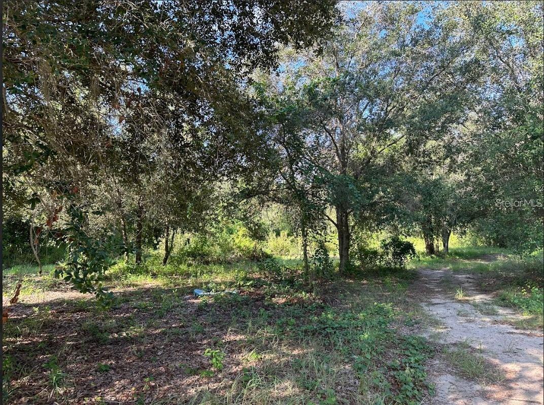 GREAT BLUE HERON ESTATES - Land